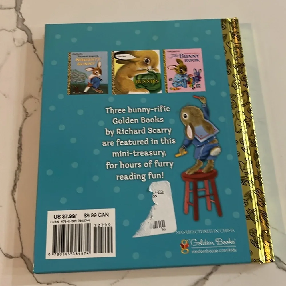 NWT Bundle of 2 Bunny Books